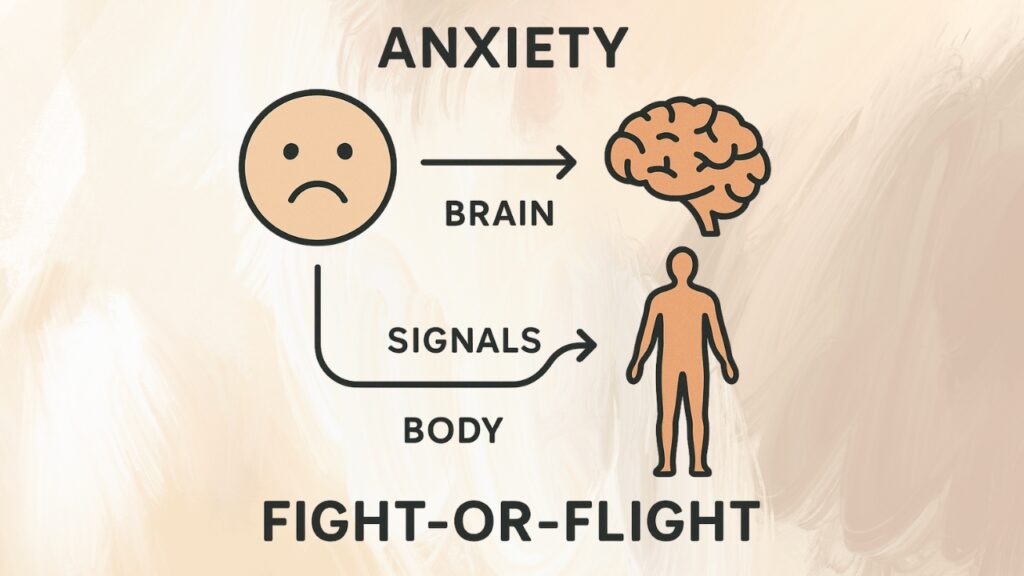 
This simple diagram effectively visualizes the link between anxiety, the brain, and the body's fight-or-flight response.