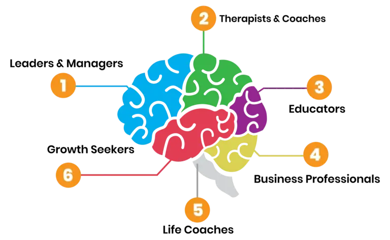 Stylized, colorful diagram of the human brain with numbered areas showing different functions