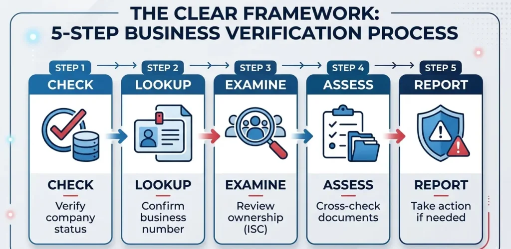 infographic showing a 5 step business verification process including check lookup examine assess and report for verifying companies