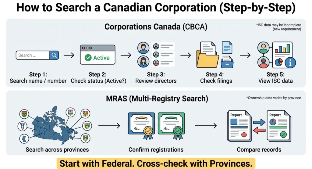 infographic showing step by step process to search a Canadian corporation using Corporations Canada and MRAS including checking status directors filings and ownership